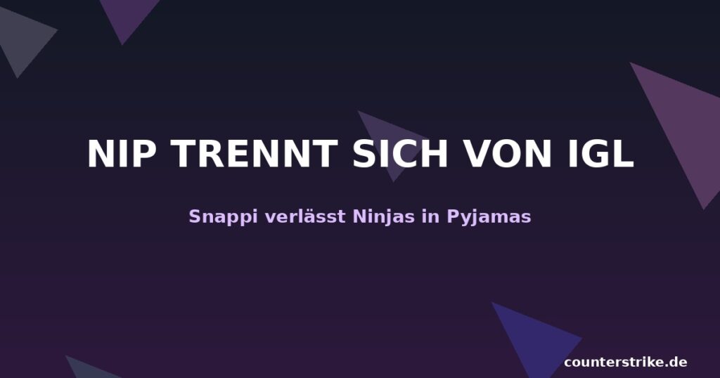 Snappi verlässt NIP als IGL – CS2 Team-Wechsel Grafik