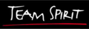 Spirit Logo